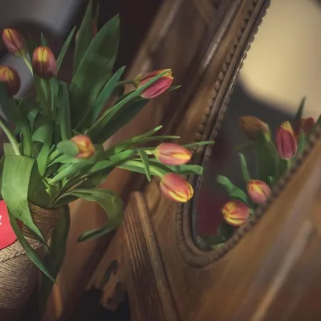 Good Time Lejlighedshotel Łódź